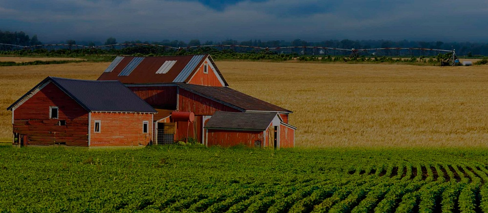 Судебная оценка земельных участков #CITY_PREPOSITIONAL#